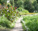 Сухумский Ботанический Сад